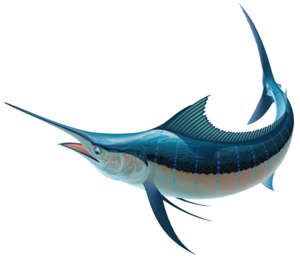 MH Fishing Online Tackle Shop Deep Sea Fishing lures online store